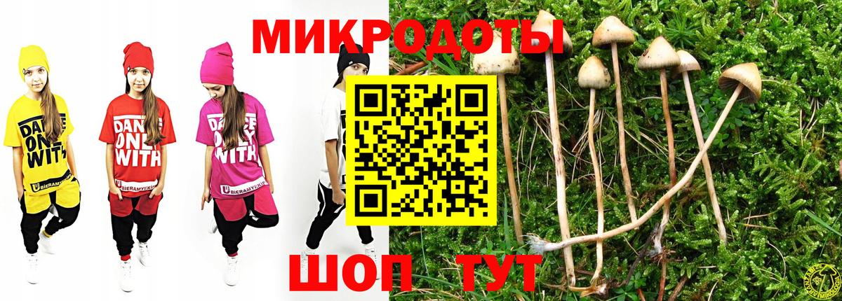 Галлюциногенные грибы GOLDEN TEACHER  Псилоцибиновые грибы мухоморы  Свободный  Вход с VPN 